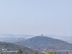 -宝界山林公园