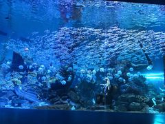 -波塞冬旅游度假区