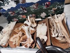 -芸山季·云南山珍菌火锅(南翔印象城MEGA店)