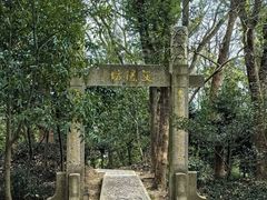 -上海佘山国家森林公园天马山园