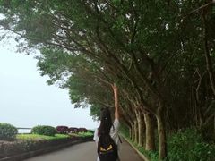 -大湾区中央湿地公园