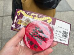 -武汉知音号