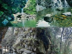 -石台牯牛降景区