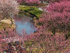 -阳澄湖半岛旅游度假区