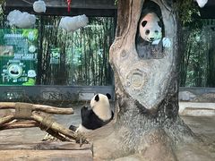 -海南热带野生动植物园