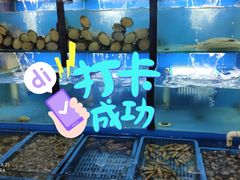 水产区-老东镇啤酒屋海鲜加工·蒸汽海鲜·海鲜烧烤(台东店)