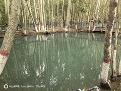 -艾提尕尔清真寺
