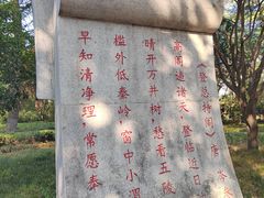 -木塔寺遗址生态公园