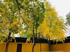 -西园戒幢律寺