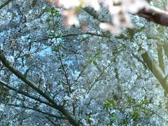 -龙美术馆(西岸馆)
