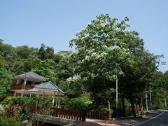 -火炉山森林公园