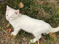 -一品飘香健康米线(一中总店)