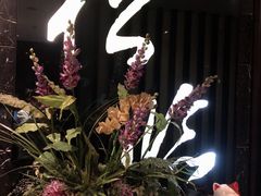 -松临·铁板烧&Omakase(神农店)