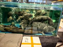 -聚福宝合苑食府(南头镇店)