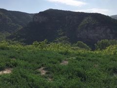-龙洞风景区-藏龙涧