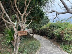 -海南分界洲岛旅游区