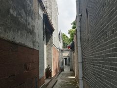 -碧江金楼