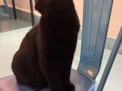 -ZING鲸鱼啤酒(葡萄院店)