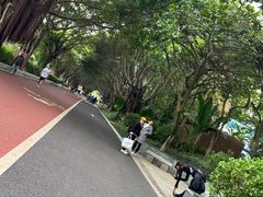-南宁南湖公园