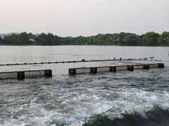 -西湖外事游船(花港观鱼码头)