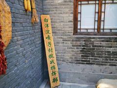 -白洋淀景区