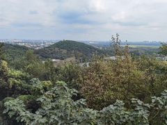 -上海佘山国家森林公园西佘山园