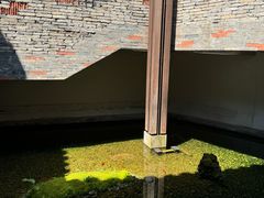 -几荷·恰似故人来(秀水广场店)