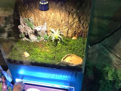 -梦幻海洋王国(吾悦广场张家港店)