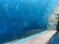 -波塞冬旅游度假区