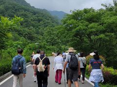 -牛背梁国家森林公园