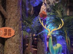 -正佳自然科学博物馆