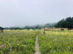 -白草畔自然风景区