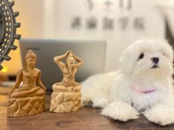 点击看大图 -Y+U遇瑜伽·普拉提