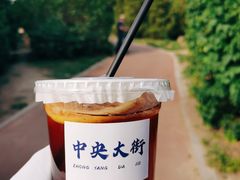 -丁香湖公园