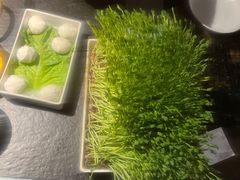 -九鼎轩脆毛肚火锅(南京东路店)