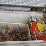 马屿老戴泡泡