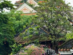 -顺峰山公园