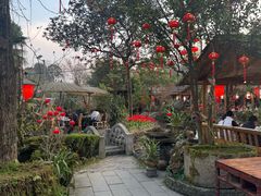 -青城甲(青城山店)