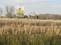 -长兴太湖图影湿地文化园