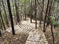 -南山植物园