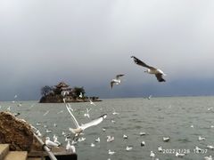 -小普陀