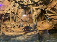 -波塞冬旅游度假区