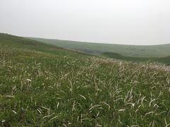 -恋山坝上草原