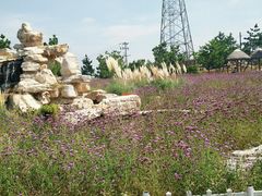 -羊亭河湿地公园