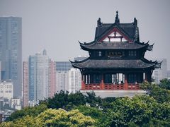 -黄鹤楼公园(黄鹤楼)