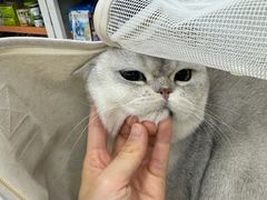 -瑞鹏宠物医院·微创内窥镜·骨外科·牙科(翠竹分院)