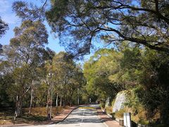 -大埔公路-马料水段香港中文大学(公交站)