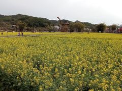 -红山村