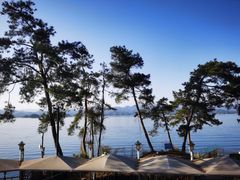 -宝荣鱼馆·临湖之宴(千岛湖店)