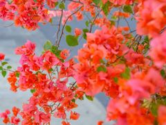 -天河客运站(地铁站)